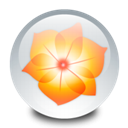 Adobe Illustrator icon